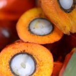Smart agribusiness and food