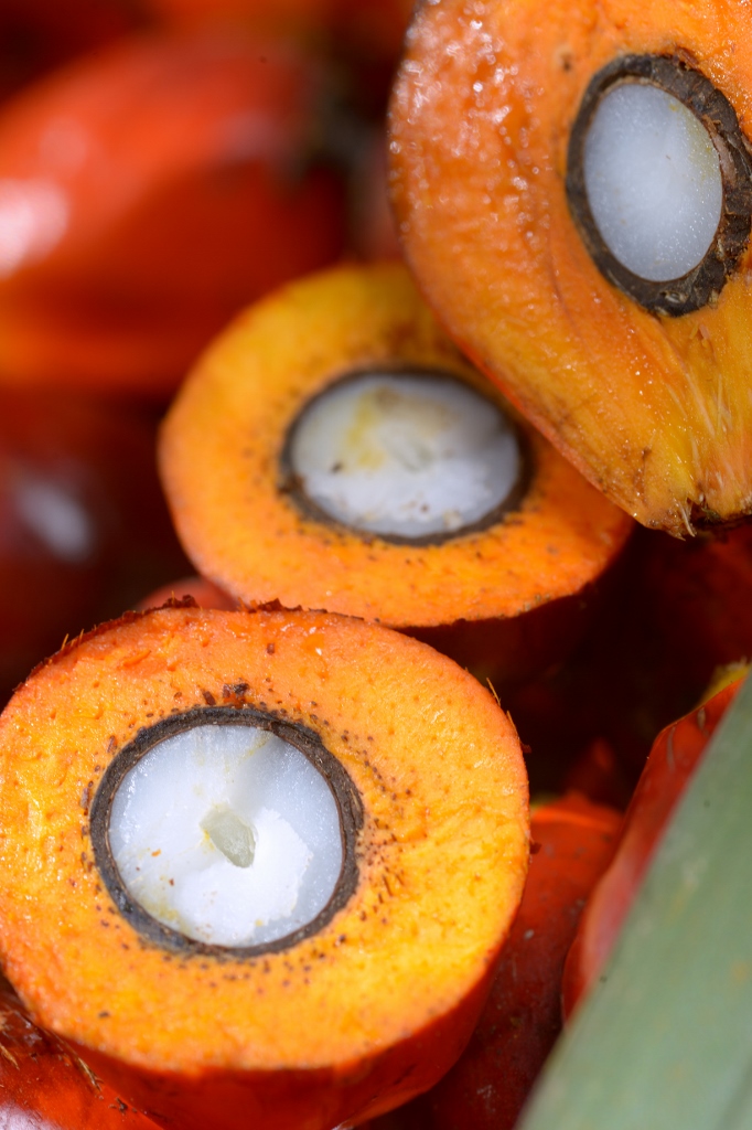 Smart agribusiness and food