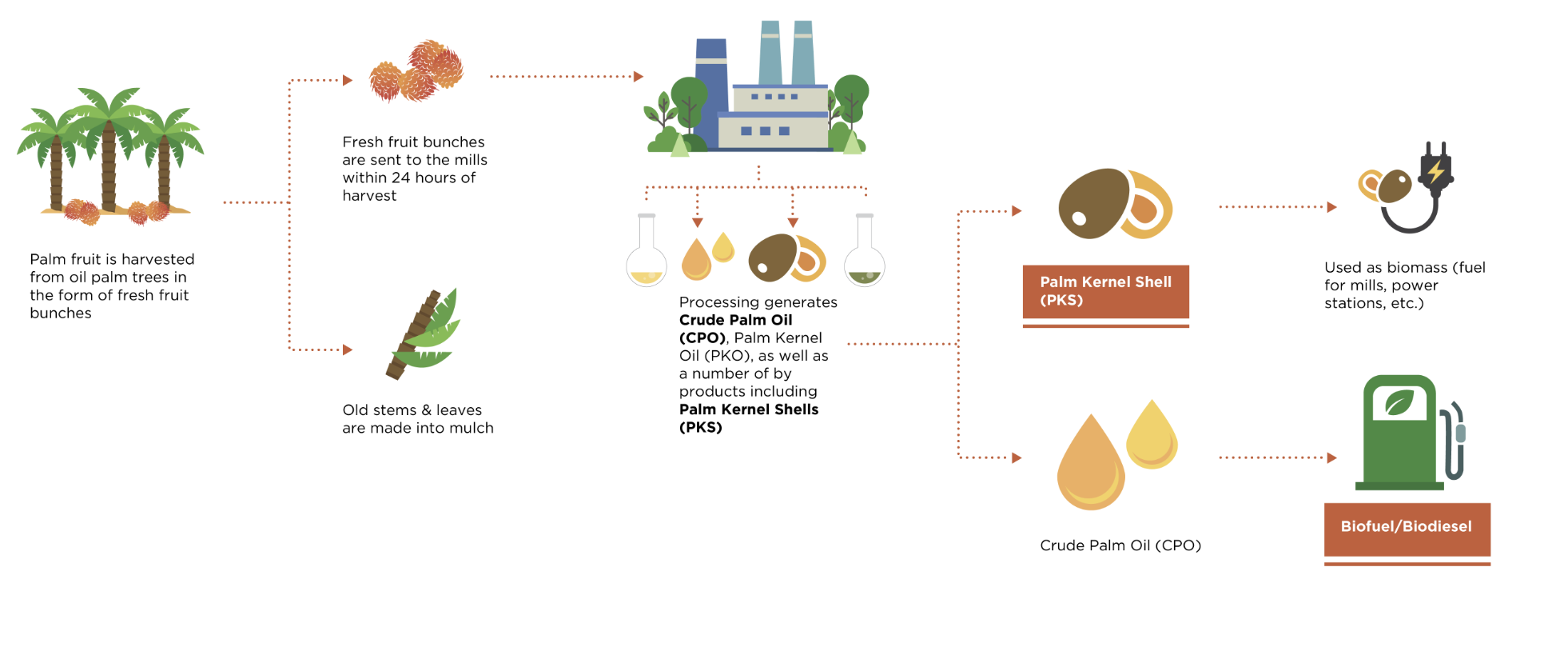 Sinar Mas Agro Resources and Technology (SMART)