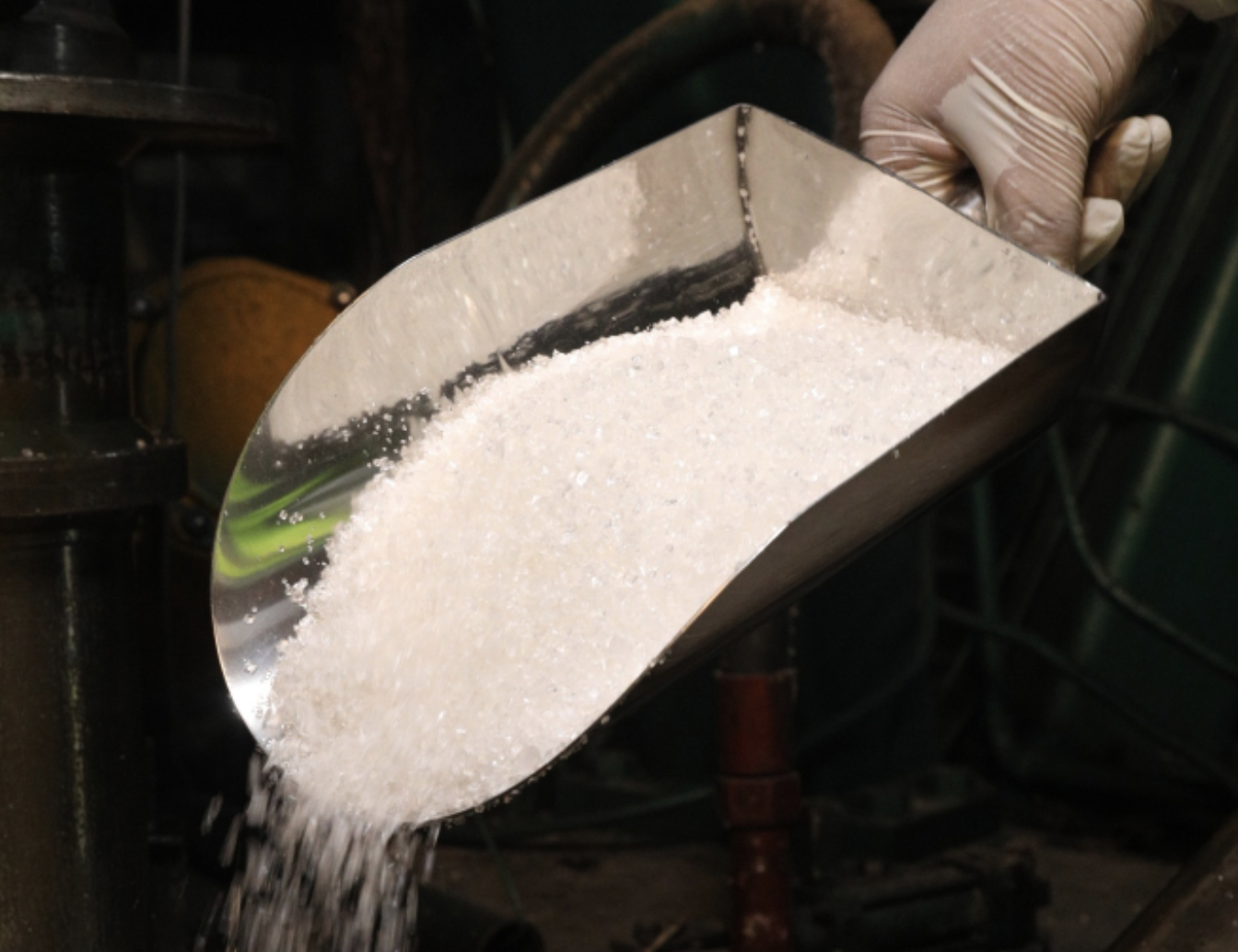Refined Sugar