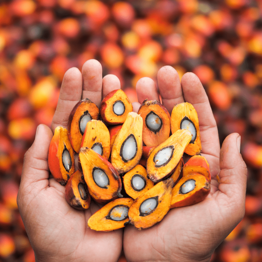 sinarmas-agro.com