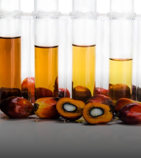 Sinar Mas Agro Resources and Technology (SMART) bioenergy