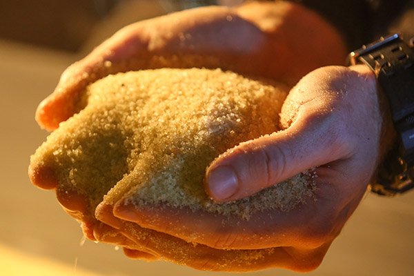 raw sugar for export